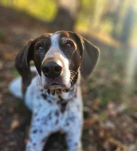 Maggie