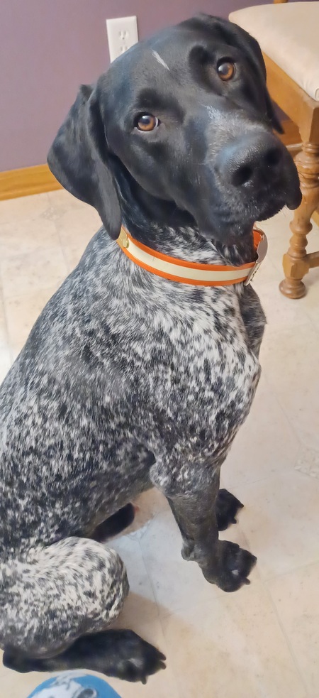 Ares