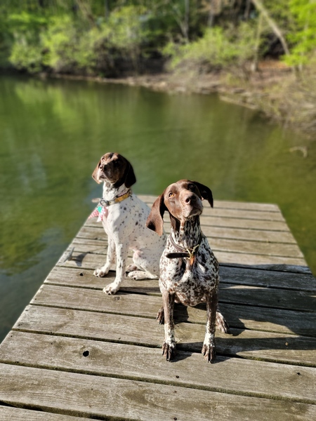 Dixie Lou & Bella Rose