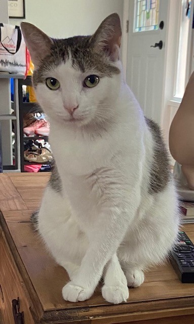Daisy
