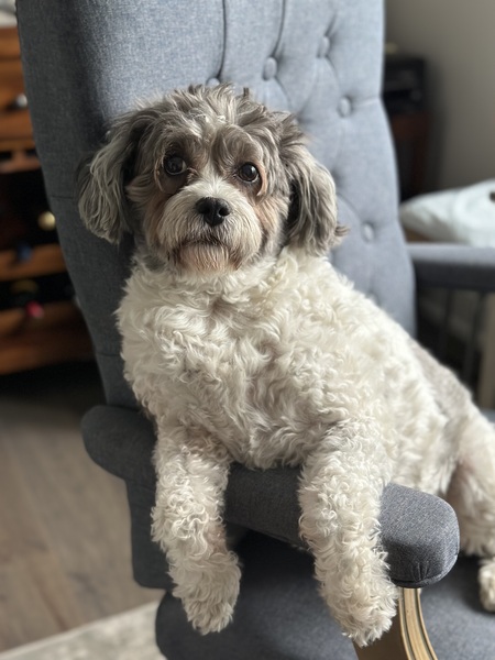 Bella