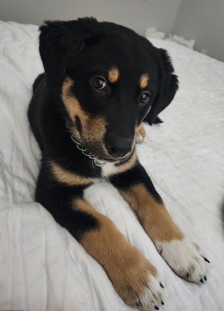 Ellie