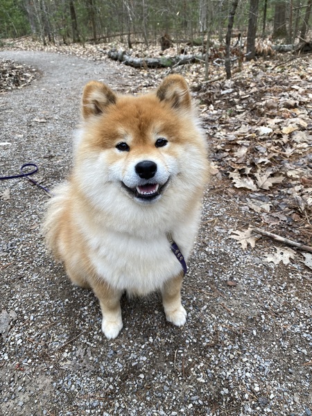 Ruby