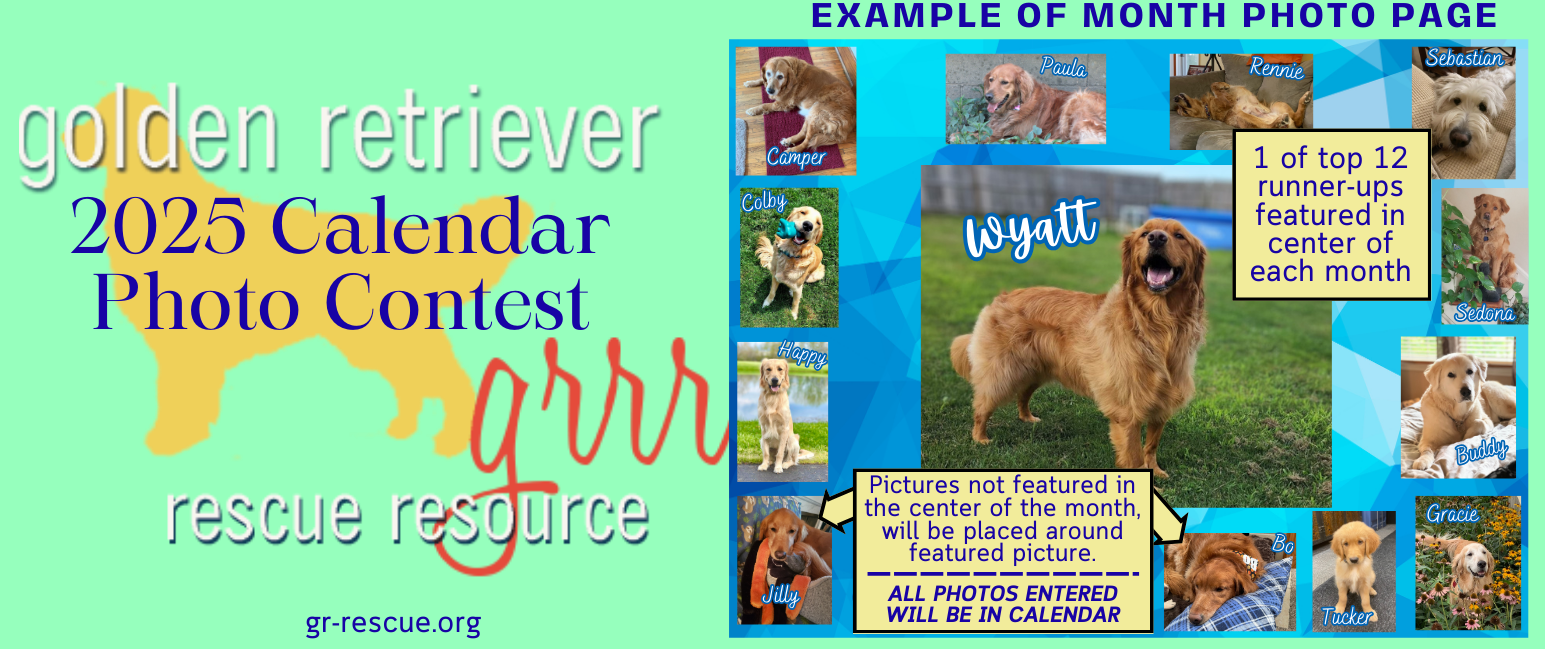 Golden Retriever Rescue Resource, Inc GRRRโs 2025 Calendar Photo Contest 2025 Calendar Photo Contests Youtube