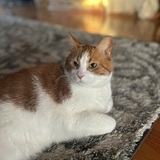 Entry image for Billy