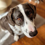 Entry image for Tchoupitoulas