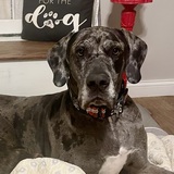 Entry image for Titan