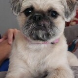 Entry image for Sassy