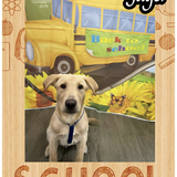 Entry image for Jäger