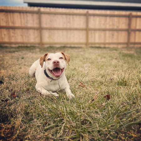 Entry image for Sunni . Clicking this image will show a larger photo