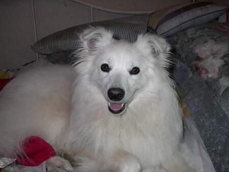 Entry image for Alice. Clicking this image will show a larger photo