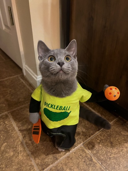 Entry image for Wizard. Clicking this image will show a larger photo