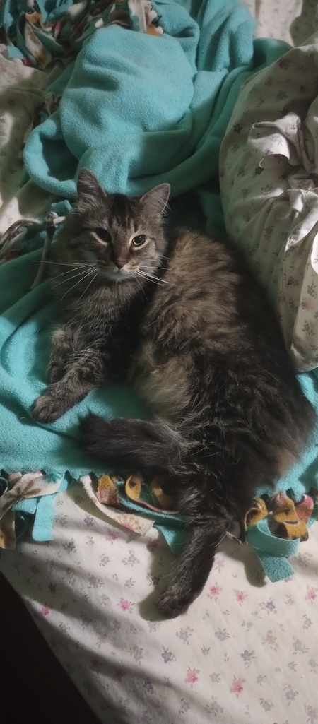 Entry image for Frankenstein . Clicking this image will show a larger photo