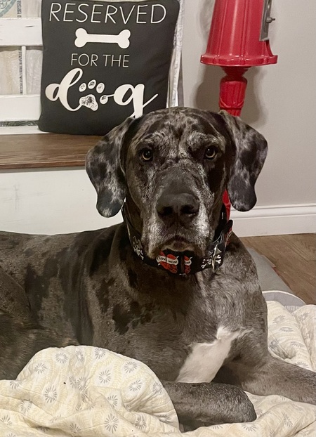 Entry image for Titan. Clicking this image will show a larger photo