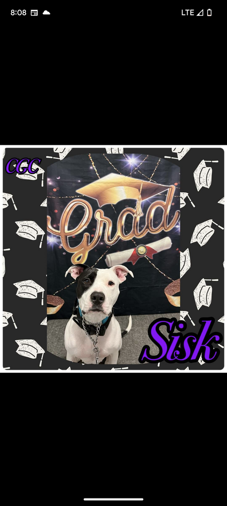 Entry image for Sisk. Clicking this image will show a larger photo