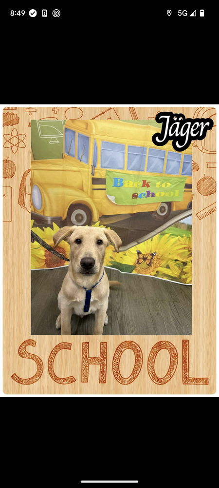 Entry image for Jäger. Clicking this image will show a larger photo