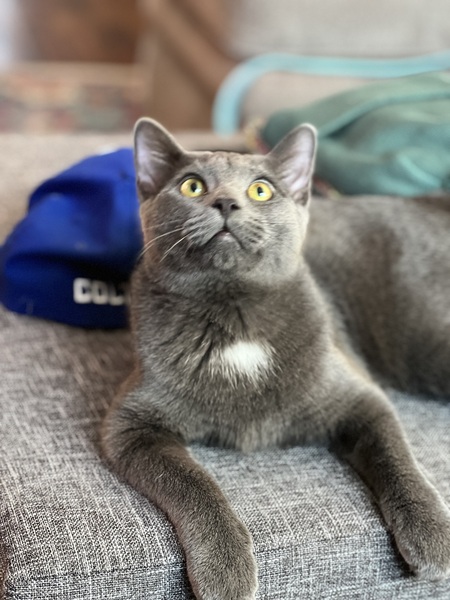 Entry image for Church. Clicking this image will show a larger photo