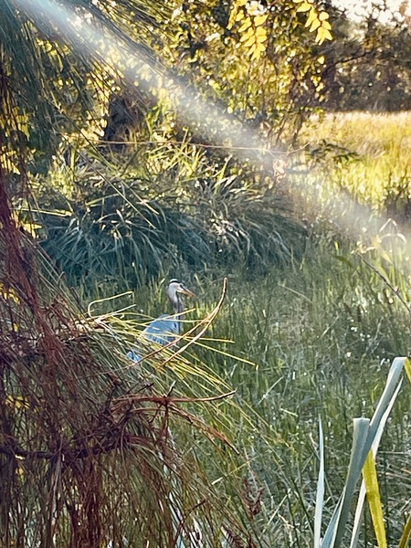 Sun bathing