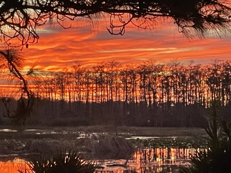 Grassy Waters at Sunrise 