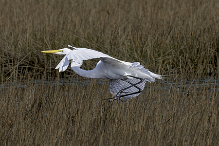 low flying mode