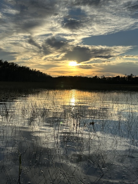 Winter Sky