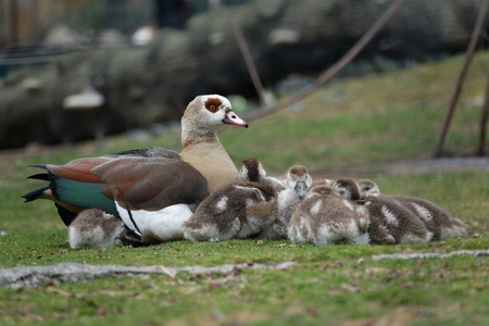 Family Time