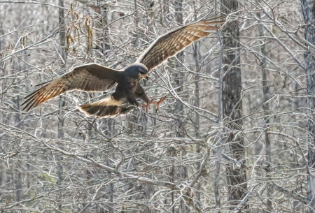 Flaps up, gear down!