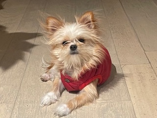 Mickey