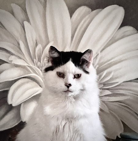Bubba Rufus
