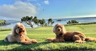 Rumples and Gabby