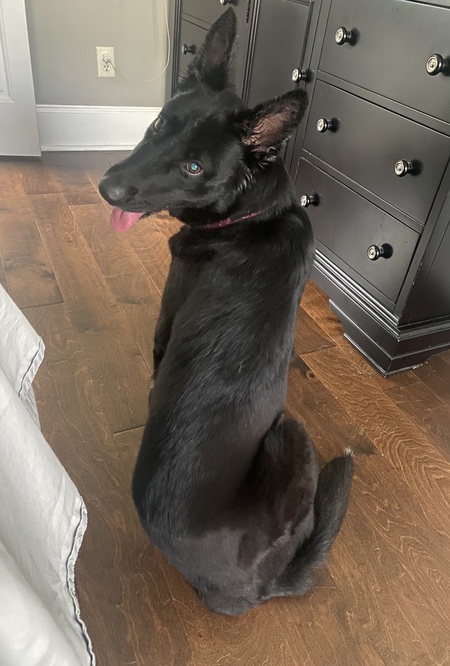 Onyx