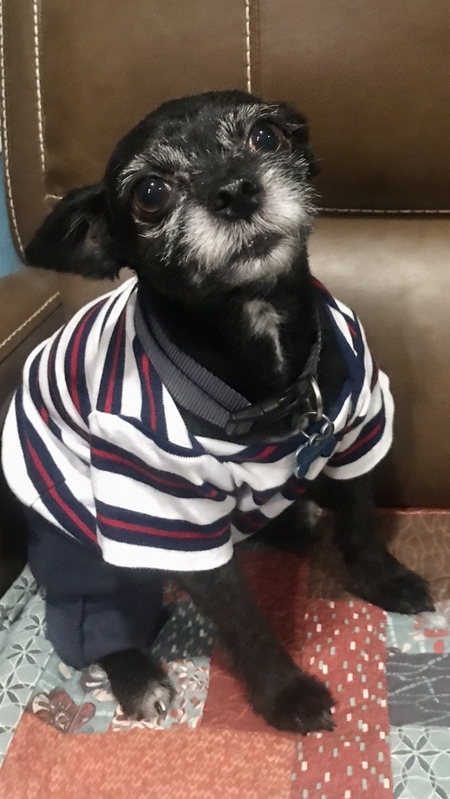 Taz