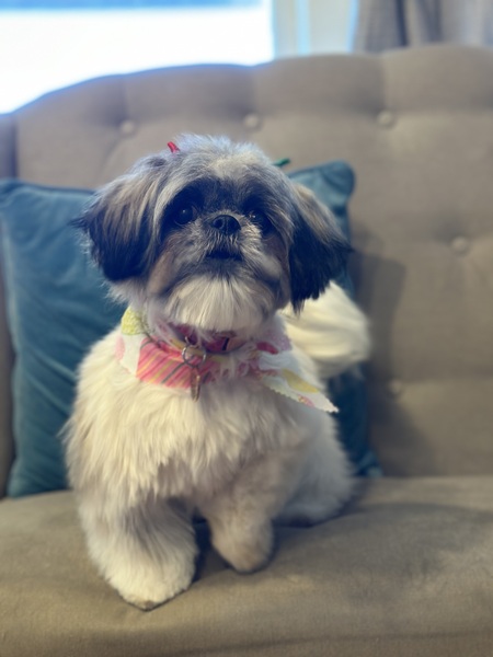 Chloe
