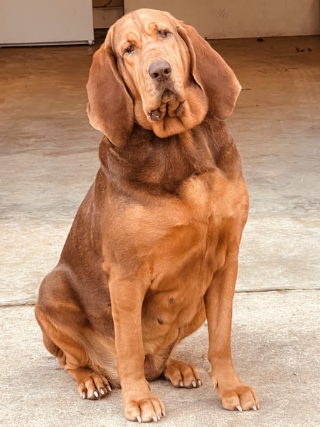 Paisley Jane 