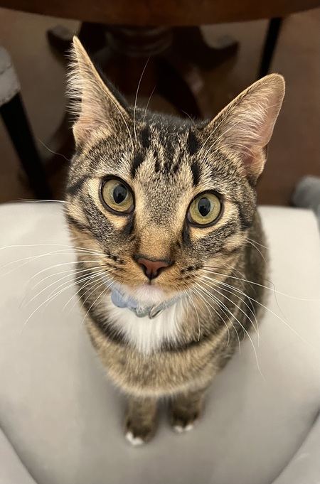 Oliver