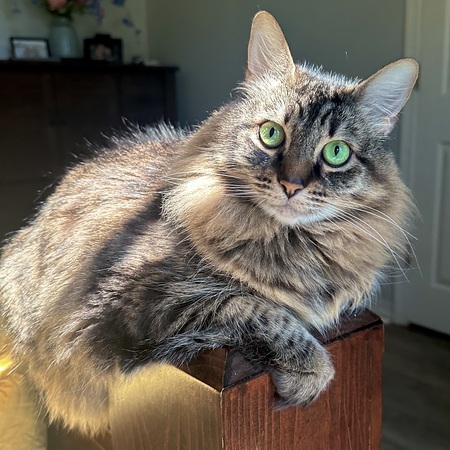 Mia 