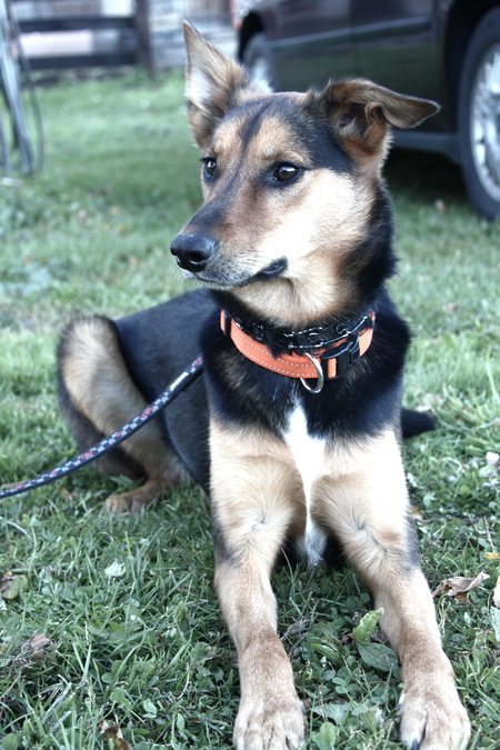 Indy