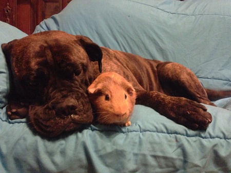 Bella and Pooh Bear