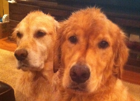 Maggie & Chance