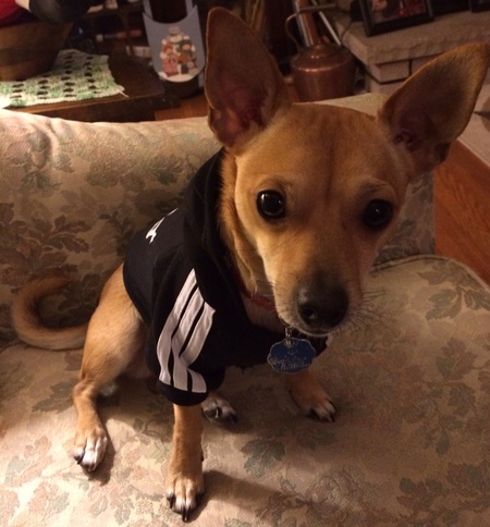 Peanut (FKA RoHo)