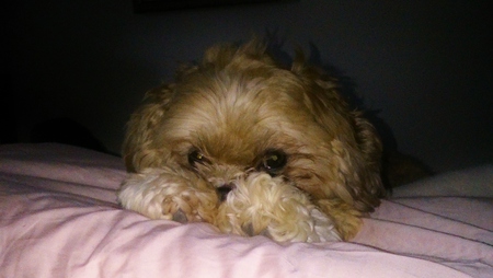 Charlie