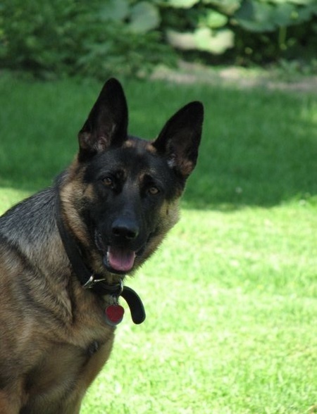 Cheyenne