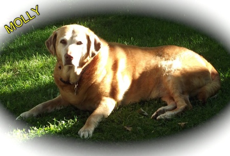 Molly