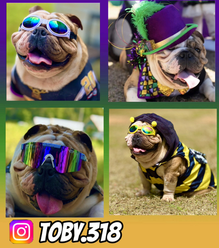 Toby 