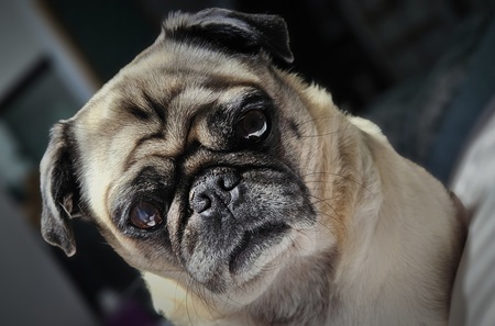 Georgia (Georgie) Mae Oliver