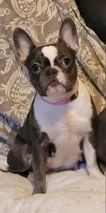 Layla Bee