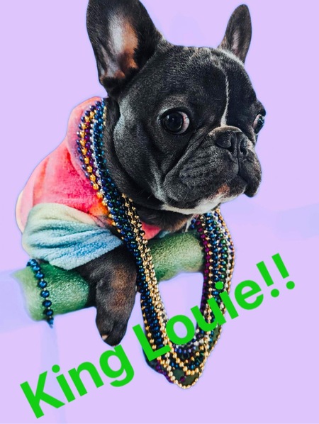 Louie