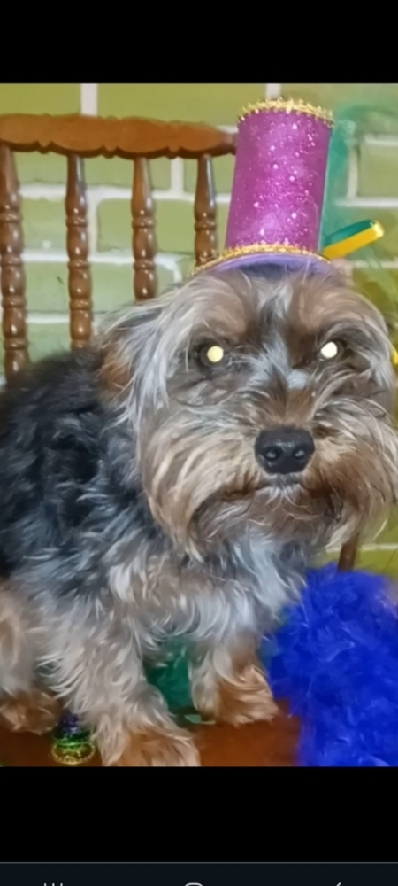 Sir Wilbur Keith