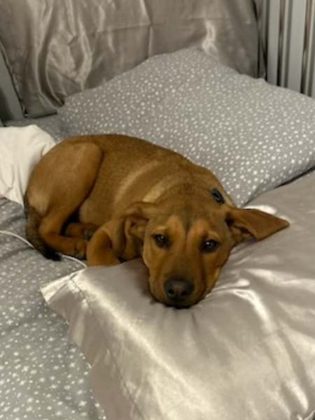 Maverick