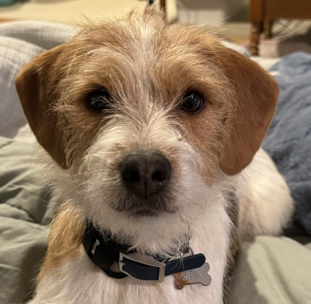 Walter